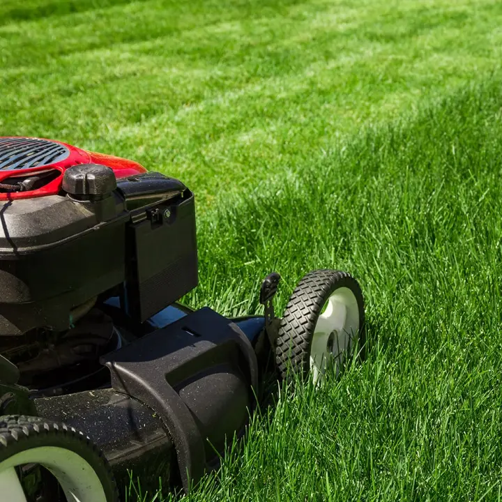 Landscaping Equipment Services